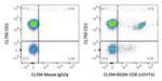 CD8 Antibody in Flow Cytometry (Flow)