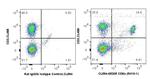 CD8a Antibody in Flow Cytometry (Flow)