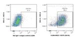 CD276 Antibody in Flow Cytometry (Flow)