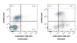 CD86 Antibody in Flow Cytometry (Flow)