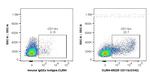 CD11b Antibody in Flow Cytometry (Flow)