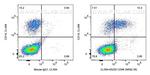 CD96 Antibody in Flow Cytometry (Flow)