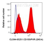 CD155/PVR Antibody in Flow Cytometry (Flow)