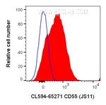 CD55 Antibody in Flow Cytometry (Flow)