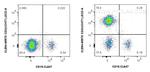 CD3 Antibody in Flow Cytometry (Flow)