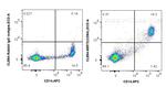 CD64 Antibody in Flow Cytometry (Flow)