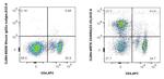 CD45RA Antibody in Flow Cytometry (Flow)