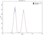alpha Tubulin Antibody in Flow Cytometry (Flow)
