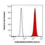 CAPRIN1 Antibody in Flow Cytometry (Flow)