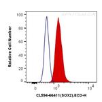 SOX2 Antibody in Flow Cytometry (Flow)