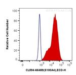 S100A4 Antibody in Flow Cytometry (Flow)