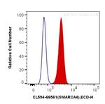 SMARCA4 Antibody in Flow Cytometry (Flow)