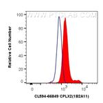 CPLX2 Antibody in Flow Cytometry (Flow)