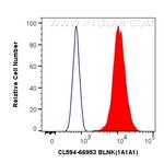 BLNK Antibody in Flow Cytometry (Flow)