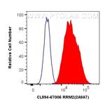 RRM2 Antibody in Flow Cytometry (Flow)