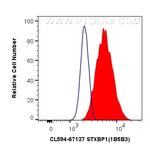 STXBP1 Antibody in Flow Cytometry (Flow)