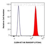 RANGAP1 Antibody in Flow Cytometry (Flow)