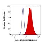 SUMO2/3 Antibody in Flow Cytometry (Flow)