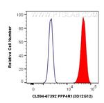 PPP4R1 Antibody in Flow Cytometry (Flow)