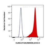 RBM39 Antibody in Flow Cytometry (Flow)