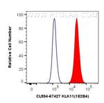 KLK11 Antibody in Flow Cytometry (Flow)
