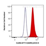 NARS Antibody in Flow Cytometry (Flow)