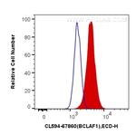 BCLAF1 Antibody in Flow Cytometry (Flow)