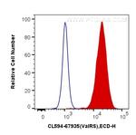 ValRS Antibody in Flow Cytometry (Flow)