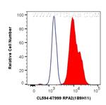 RPA2 Antibody in Flow Cytometry (Flow)