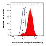 Phospho-JUN (Ser73) Antibody in Flow Cytometry (Flow)