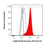 Phospho-P53 (Ser15) Antibody in Flow Cytometry (Flow)
