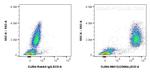 CEACAM8/CD66b Antibody in Flow Cytometry (Flow)