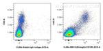 Endoglin/CD105 Antibody in Flow Cytometry (Flow)