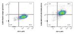 TLR3/CD283 Antibody in Flow Cytometry (Flow)