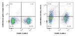 TNFR2/CD120b Antibody in Flow Cytometry (Flow)