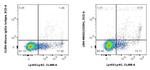 CD354/TREM-1 Antibody in Flow Cytometry (Flow)