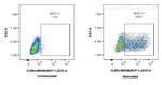 MCP-1 Antibody in Flow Cytometry (Flow)