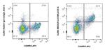 Fas/CD95 Antibody in Flow Cytometry (Flow)