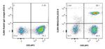 CD4 Antibody in Flow Cytometry (Flow)