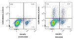 IL-2 Antibody in Flow Cytometry (Flow)