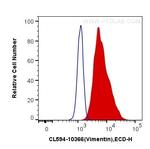 Vimentin Antibody in Flow Cytometry (Flow)