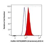 MMP9 Antibody in Flow Cytometry (Flow)
