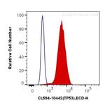 P53 Antibody in Flow Cytometry (Flow)