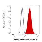 OCT4 Antibody in Flow Cytometry (Flow)