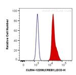 CREB1 Antibody in Flow Cytometry (Flow)