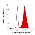 S100A4 Antibody in Flow Cytometry (Flow)