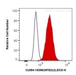 NRF2, NFE2L2 Antibody in Flow Cytometry (Flow)