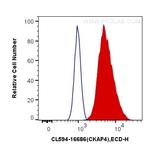 CKAP4 Antibody in Flow Cytometry (Flow)