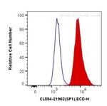 SP1 Antibody in Flow Cytometry (Flow)