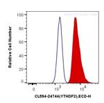 YTHDF2 Antibody in Flow Cytometry (Flow)